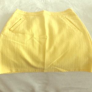 Limited Skirt